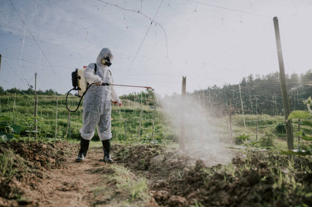 Best Best Pest Control Companies  in Red Hill, SC