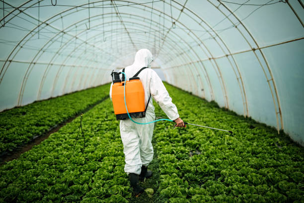 Best Pest Control for Homes  in Red Hill, SC