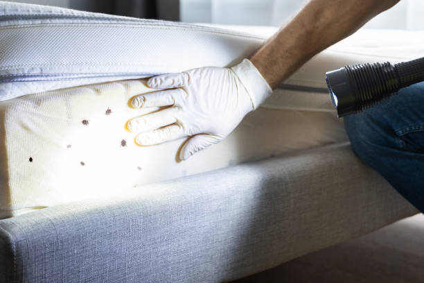 Best Flea Control Services  in Red Hill, SC