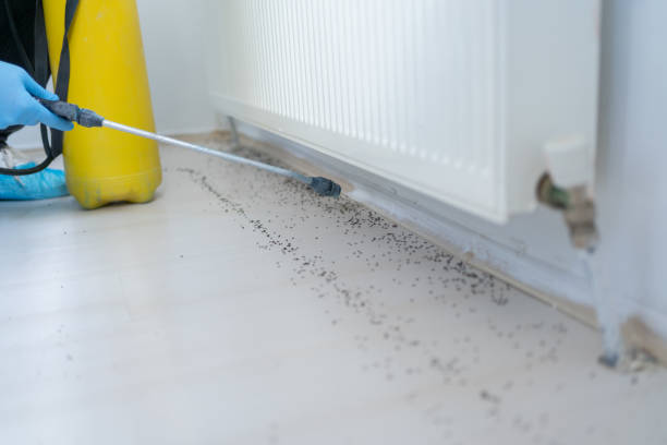 Best Best Pest Control Companies  in Red Hill, SC