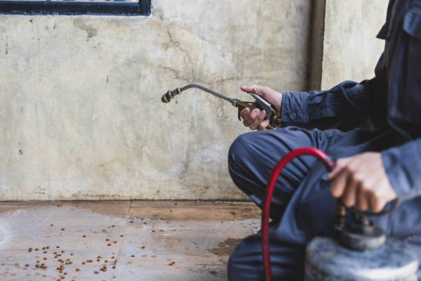 Best Residential Pest Control  in Red Hill, SC